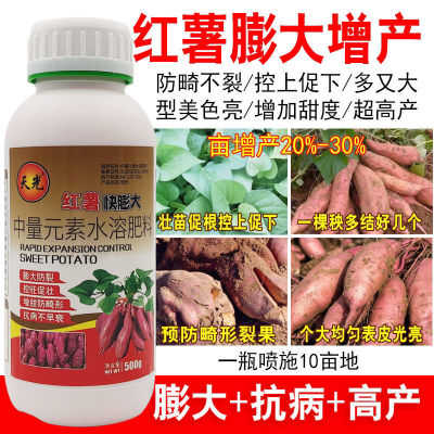 红薯控旺膨大素专用肥效果展示