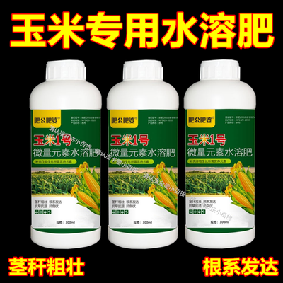 玉米一号效果展示